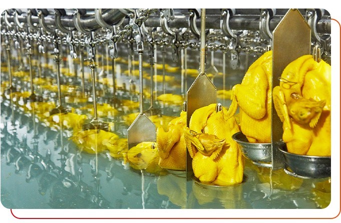 預(yù)制菜供應(yīng)商產(chǎn)品安全衛(wèi)生嗎？