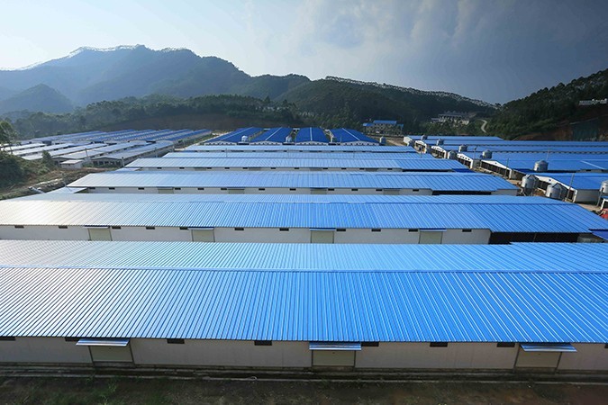 乳鴿食材批發(fā)廠家哪家好 ？ 