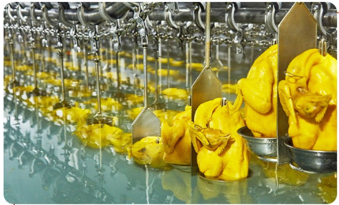 白切雞食材供應(yīng)商有安全保障嗎？