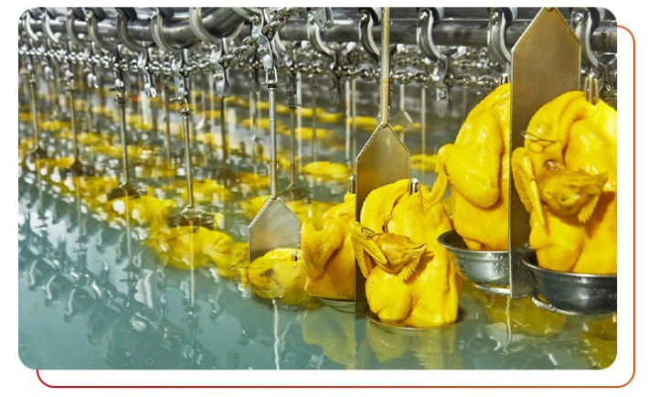 雞肉是否經(jīng)過檢測，有無相關(guān)的檢測報告？