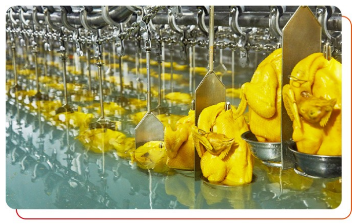 港式燒臘批發(fā)對工廠有什么要求