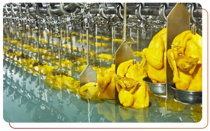 白切雞食材供應(yīng)商加工過(guò)程中注意事項(xiàng)