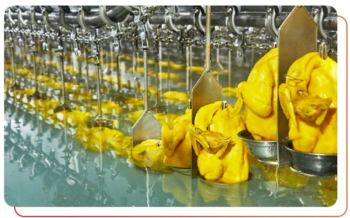 白切雞食材供應(yīng)商唐順興的優(yōu)勢(shì)特點(diǎn)