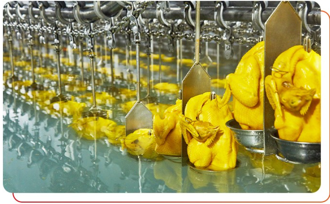 白切雞食材供應(yīng)商有哪些要求